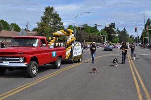 Hazel Dell Parade of Bands 2019