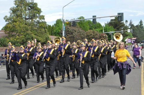 Hazel Dell Parade of Bands 2019