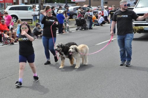 Hazel Dell Parade of Bands 2019