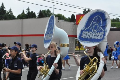 Hazel Dell Parade of Bands 2019