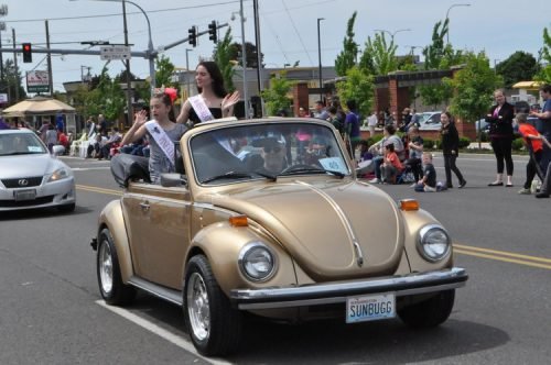Hazel Dell Parade of Bands 2019
